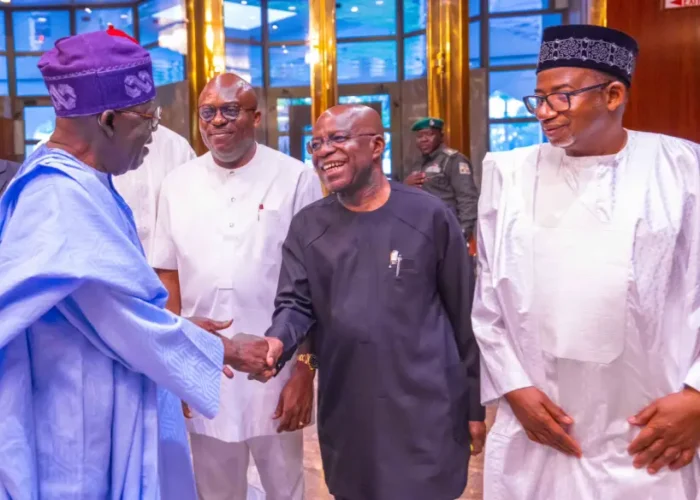 Insecurity: Tinubu, governors discuss state police