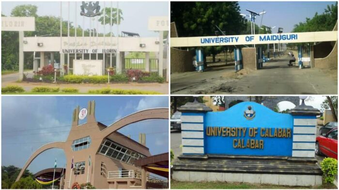 Nigeria: More Universities Where? - By Reuben Abati