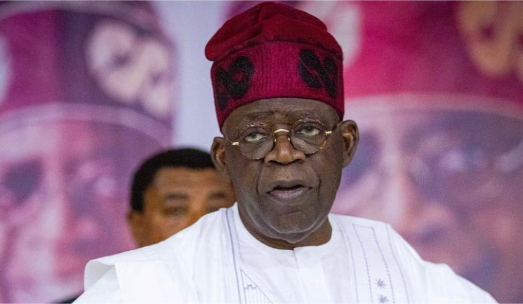 Tinubu's church rat reference to climate change isn't wrong | The Columnist