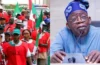 Subsidy removal: No more strike on Wednesday - NLC