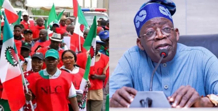 Subsidy removal: No more strike on Wednesday - NLC