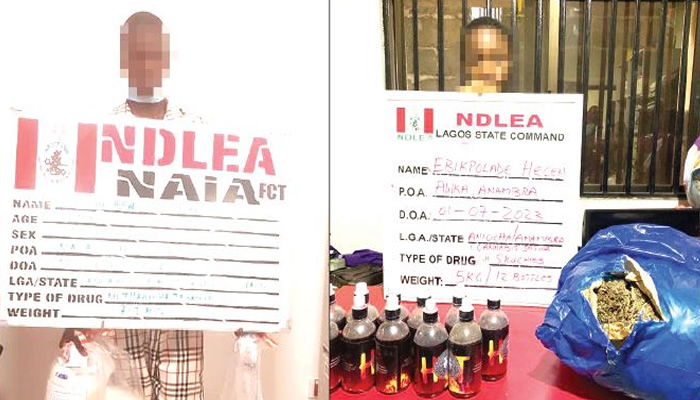 NDLEA nabs student, Lagos lawyer with drugs