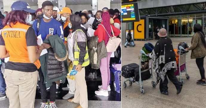 Employment fraud: Over 1,000 Nigerians stranded in UK