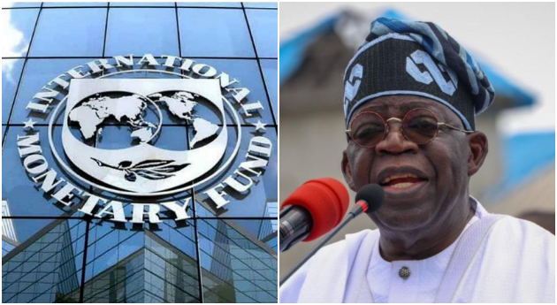Nigeria’s inflation will drop to 26.3% this year - IMF